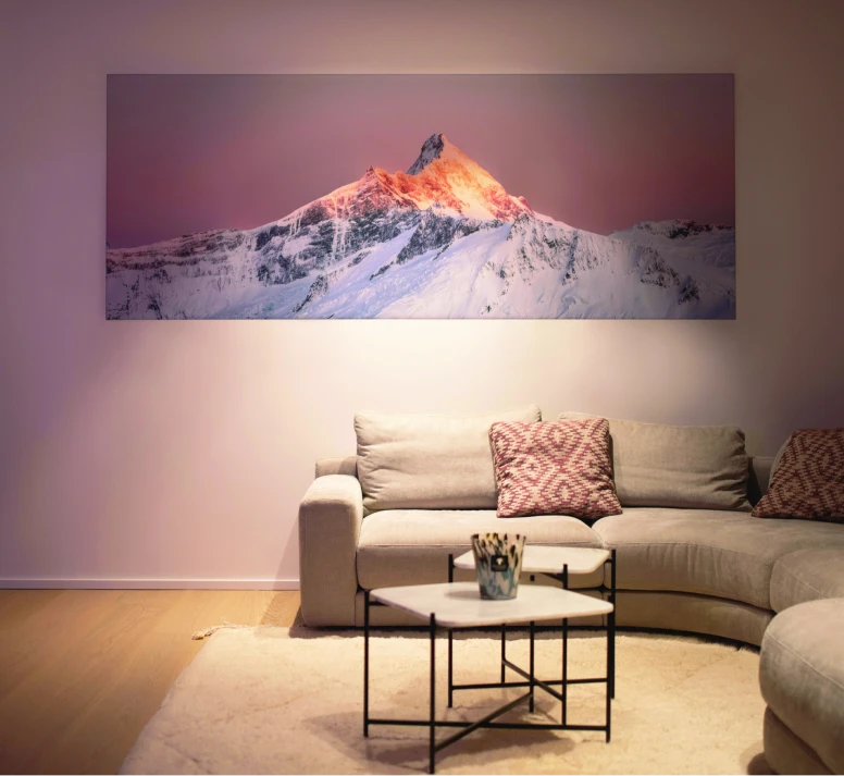 Living room with an acoustic panel hung on the wall